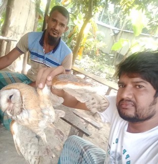 ফরিদপুরে বিলুপ্ত প্রায় ভুতুম পেঁচা উদ্ধার