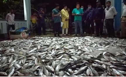 লক্ষ্মীপুরে ২০ মণ জাটকা জব্দ আটক ৭
