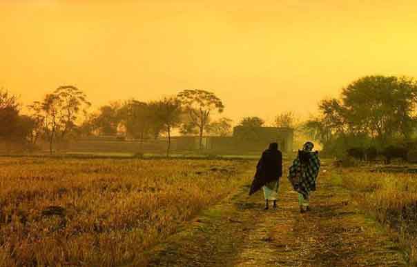 নবান্ন ও শীতের বারতা নিয়ে অগ্রহায়ণ শুরু