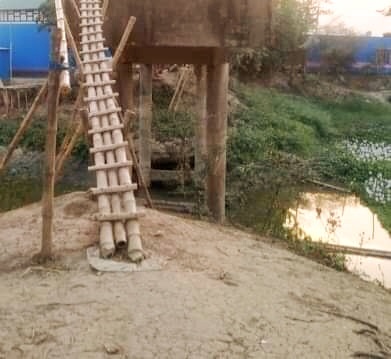 ফরিদপুরে তুজারপুর এলাকাবাসীর ব্রিজে চলাচলের সহযোগী মই