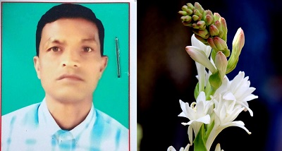 ঠাকুরগাঁওয়ে প্রতীক পছন্দ না হওয়ায় মাঠে নেই প্রার্থী, নেই প্রচারও