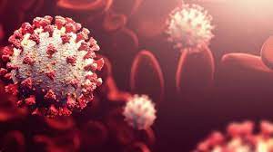 ‘ওমিক্রন’ আতঙ্কে বিশ্ব বাণিজ্য সংস্থার সম্মেলন শেষ মুহূর্তে স্থগিত