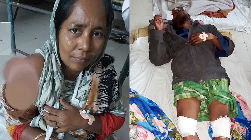 মোড়েলগঞ্জে একই পরিবারের ৩ জনকে কুপিয়ে জখম