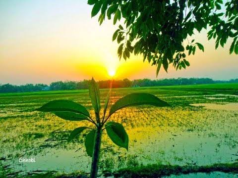 শেখ ফাহমিদা নাজনীনের কবিতা 'এই বাংলায়'