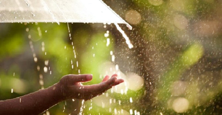 পাঁচ জেলায় গুঁড়িগুঁড়ি বৃষ্টির সম্ভাবনা