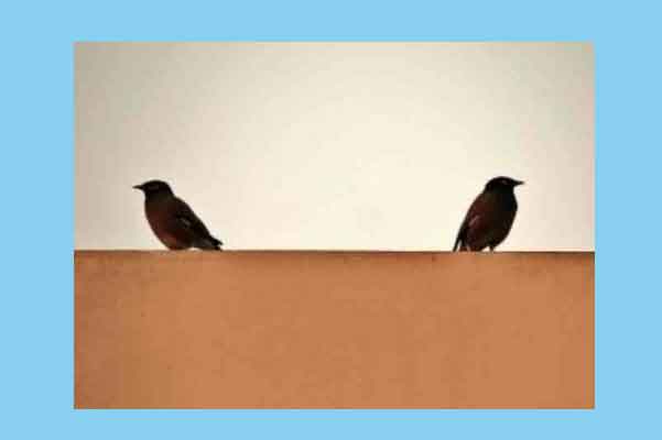 শেখ ফাহমিদা নাজনীন এর কবিতা ‘হেরে যাওয়া মন’