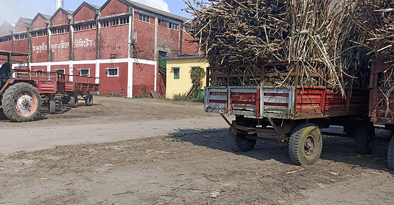 যান্ত্রিক ত্রুটির কারণে চালু না হতেই বন্ধ আখ মাড়াইকল