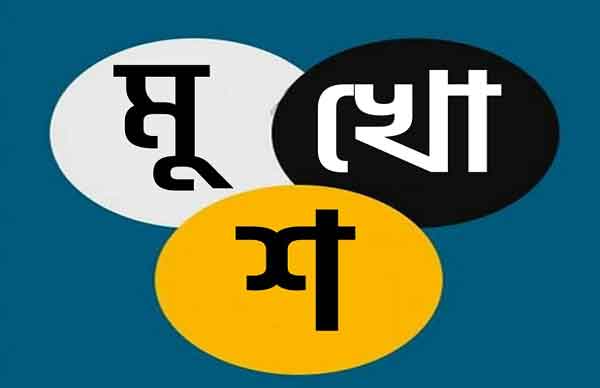 শেখ ফাহমিদা নাজনীন এর কবিতা ‘মুখোশ’