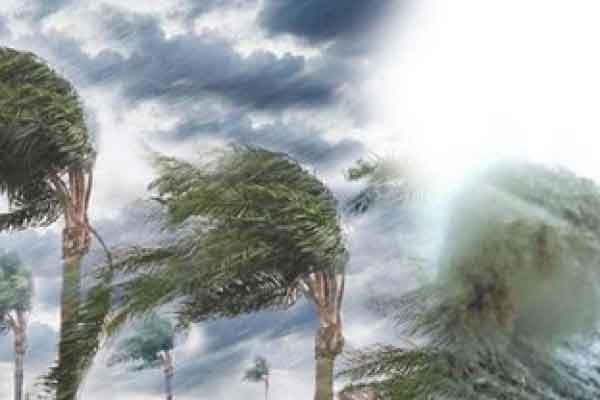 শেখ ফাহমিদা নাজনীন এর কবিতা ‘একজনই’