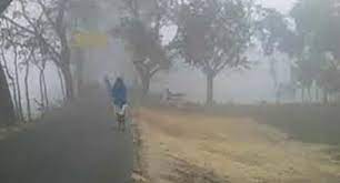 বাড়বে শীতের তীব্রতা