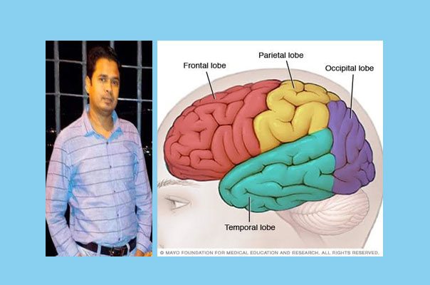 মস্তিষ্ক, চুলের গোছা ও আল কুরআন