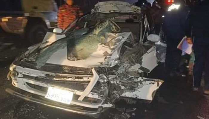 রাজবাড়ীতে সড়ক দুর্ঘটনায় ইউপি সদস্যসহ নিহত ৩