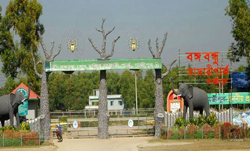 সাফারি পার্ক : তদন্ত কমিটিতে এবার তিন পরামর্শক