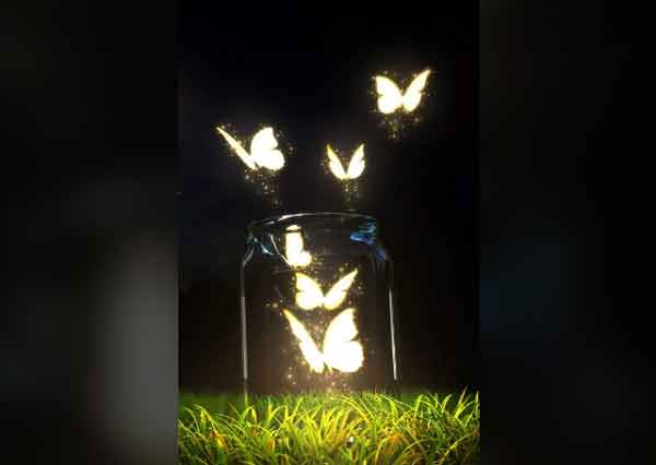 শেখ ফাহমিদা নাজনীন এর কবিতা ‘দুই জীবন’