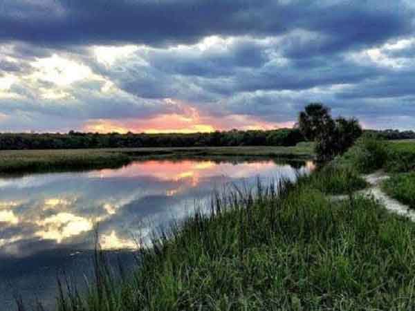 শেখ ফাহমিদা নাজনীন এর কবিতা ‘সত্য হয়ে জ্বলো’