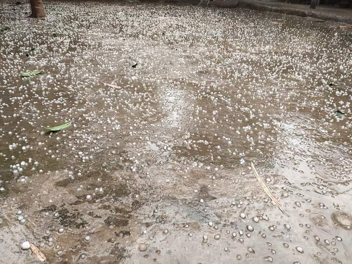 ঠাকুরগাঁওয়ে হঠাৎ শিলা বৃষ্টি, ফসলের ব্যপক ক্ষতি