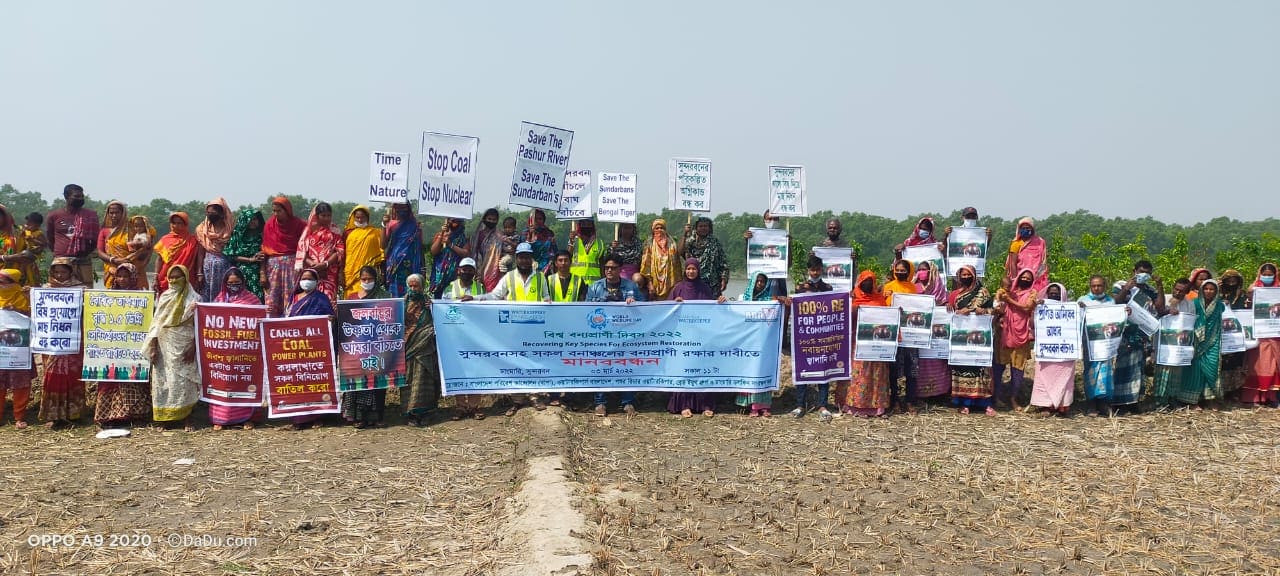 বন্যপ্রাণী রক্ষা করে পরিবেশ পুনরুদ্ধারে এগিয়ে আসুন