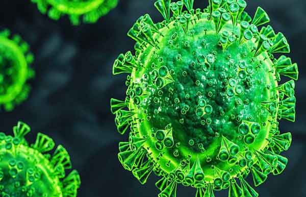 করোনায় আরও ৬ মৃত্যু, শনাক্ত ৬০৪