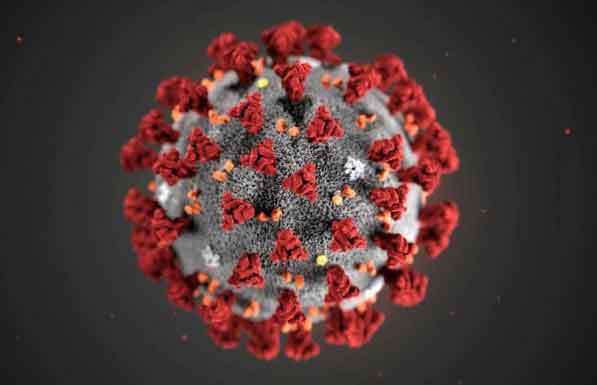 বিশ্বজুড়ে করোনায় মৃত্যু ও আক্রান্ত কমেছে