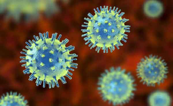 বিশ্বে করোনায় প্রাণহানি ও সংক্রমণ বেড়েছে