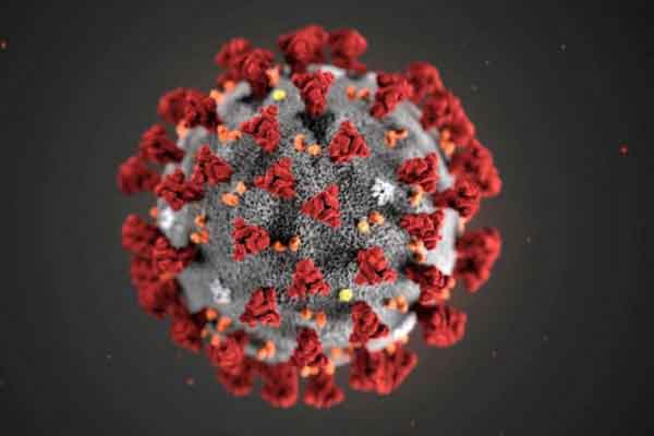 বিশ্বজুড়ে করোনায় মৃত্যু ও  শনাক্ত কমেছে