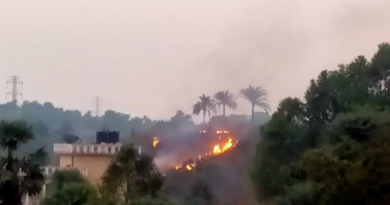 কুমিল্লা বিশ্ববিদ্যালয়ের পাহাড়ে ফের আগুন!