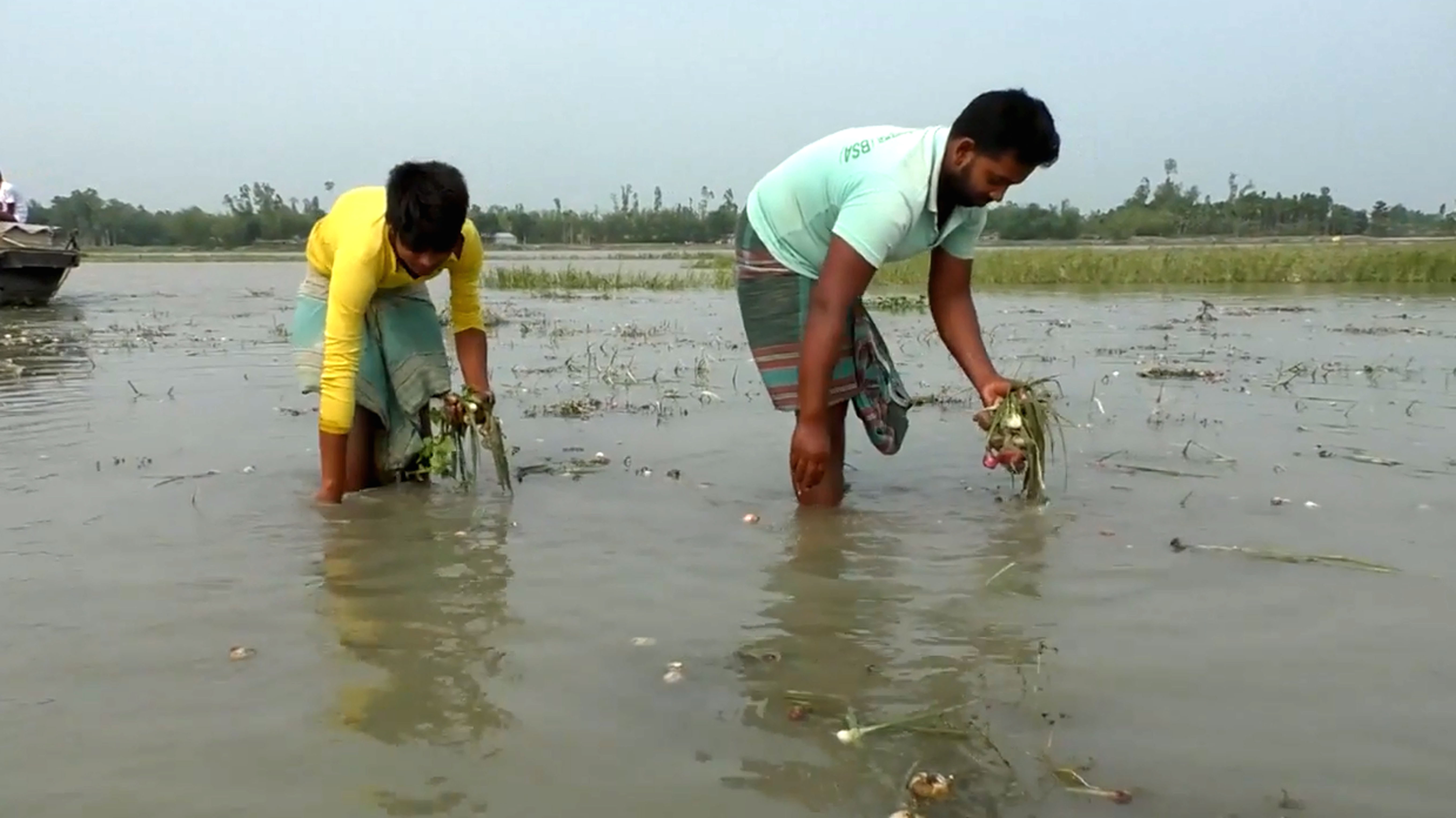 কুড়িগ্রামে নদ-নদীর পানি বৃদ্ধি, চরের কৃষকের ফসল নষ্টের আশঙ্কা
