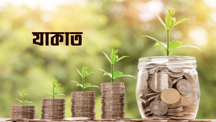 কাদের উপর যাকাত ফরয হয়?