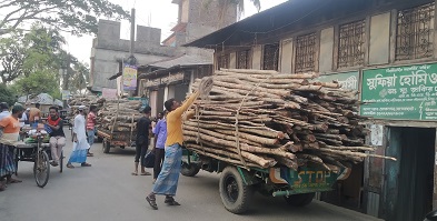 বিপুল পরিমান সুন্দরবনের কাঠ আটক