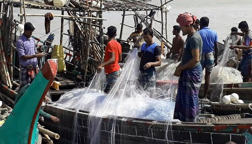 মধ্যরাত থেকে শুরু হচ্ছে ইলিশ ধরা