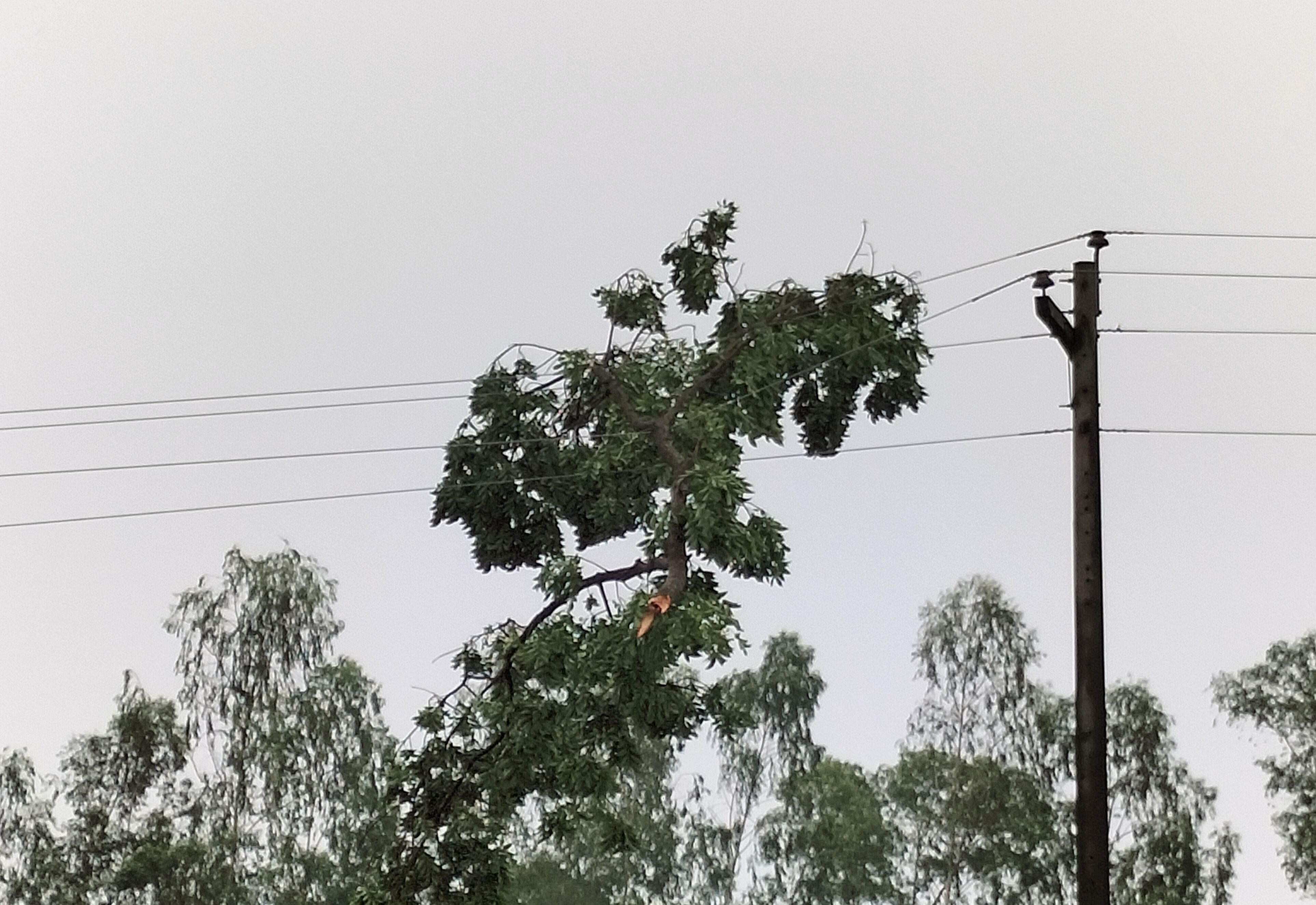 কিশোরগঞ্জে কালবৈশাখীর ছোবল, ব্যাপক ক্ষয়ক্ষতি