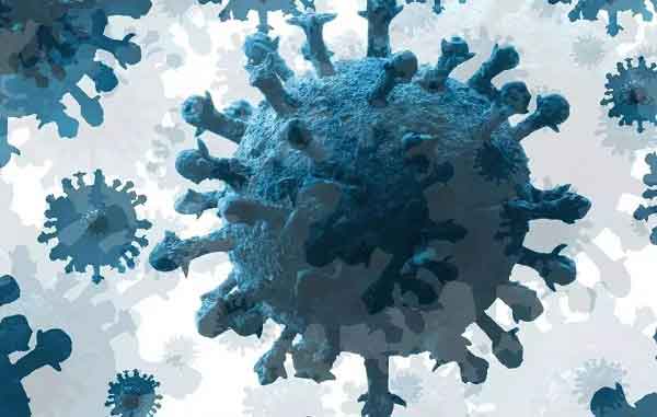 ওমিক্রনের দুটি উপধরনে করোনা বাড়ছে দক্ষিণ আফ্রিকায় : ডব্লিওএইচও