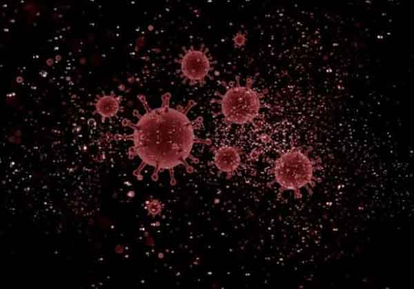 বিশ্বজুড়ে করোনায় মৃত্যু ও শনাক্ত কমেছে