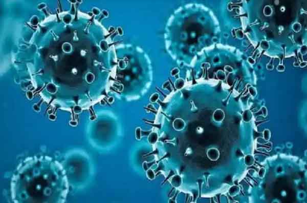 টানা ২৩ দিন করোনায় মৃত্যুহীন বাংলাদেশ, শনাক্ত ১৮