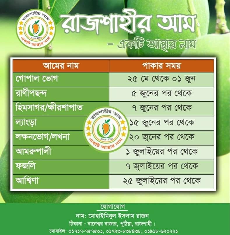 রাজশাহীর আম পাড়ার সময় নির্ধারণ