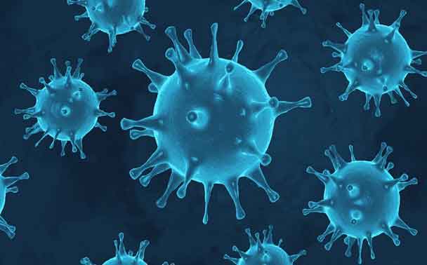 টানা ২৫ দিন করোনায় মৃত্যু শূন্য দেশ, নতুন শনাক্ত ৩৩ জন