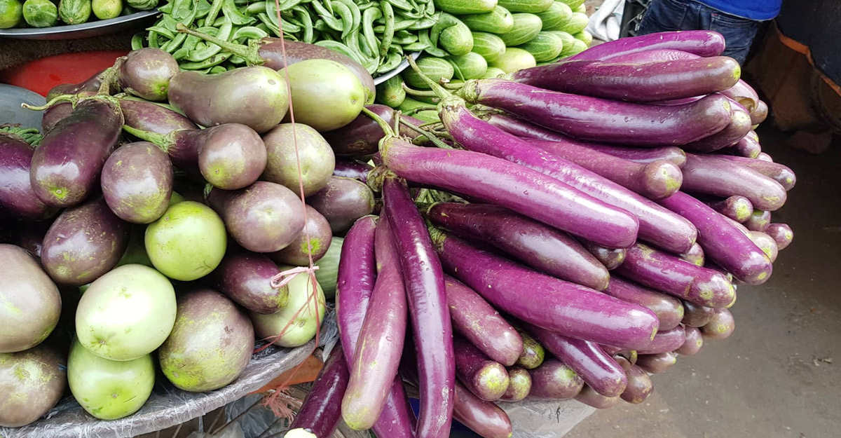 কাঁচা বাজারে এ সপ্তাহে আগুন লাগিয়েছে বেগুন