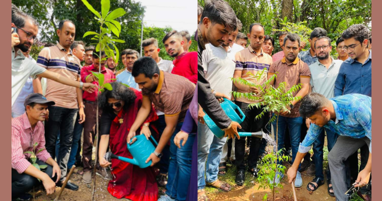 বিশ্ব পরিবেশ দিবসে তিতুমীর কলেজ ছাত্রলীগের বৃক্ষরোপণ