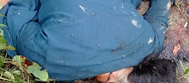 নোয়াখালীতে ডিভোর্সি তরুণীকে গলা কেটে হত্যা