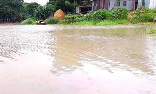 ফরিদপুরে পদ্মার পানি বৃদ্ধি পাচ্ছে, প্লাবিত হচ্ছে চরাঞ্চল ও নিম্নাঞ্চলবাসী