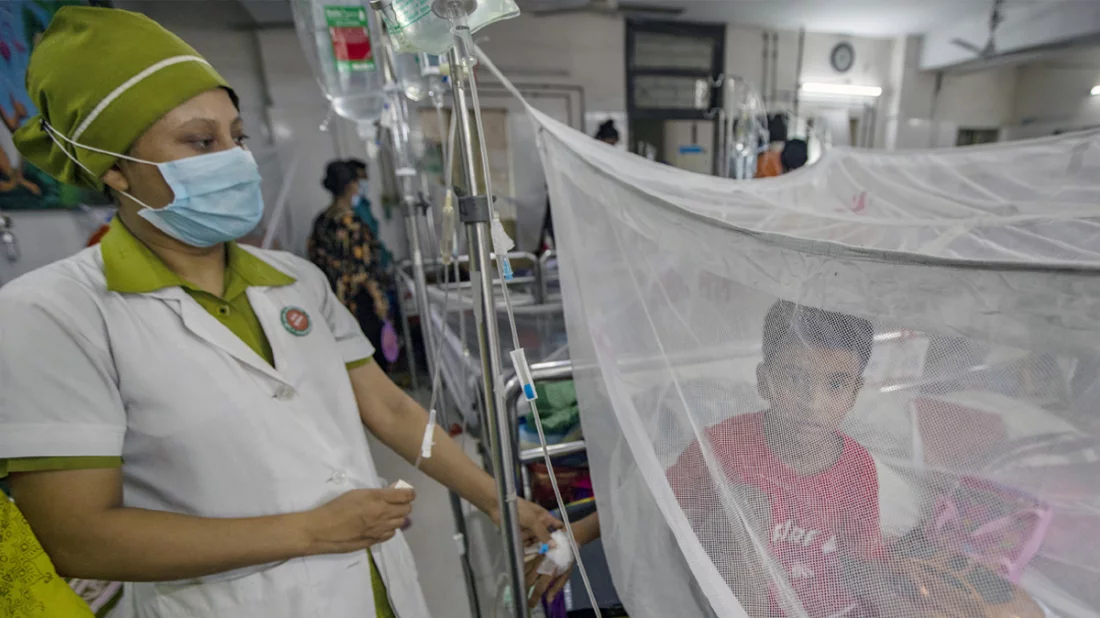 বাংলাদেশে একদিনে আরও ১৭ জন ডেঙ্গু রোগী হাসপাতালে