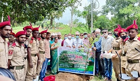 কুবিতে বিএনসিসি'র উদ্যোগে বৃক্ষরোপণ কর্মসূচি পালিত