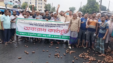 ঠাকুরগাঁওয়ে পচা আলু ঢেলে মহাসড়ক অবরোধ করেছে কৃষক ও ব্যবসায়ীরা