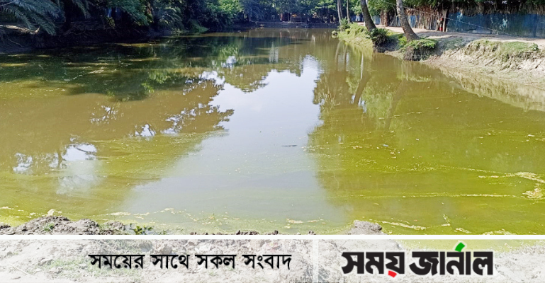 মোড়েলগঞ্জে সরকারি খাল দখল করে মৎস্য চাষ, দুই গ্রামের মানুষের ভোগান্তি