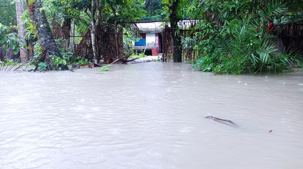 মোরেলগঞ্জে ২০ গ্রাম প্লাবিত, নতুন করে ভাঙনের মুখে পানগুছি নদী