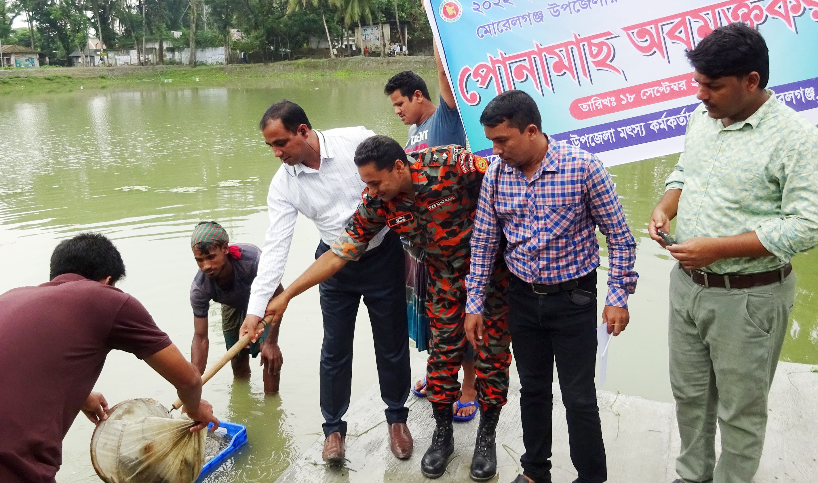 মোরেলগঞ্জে পুকুরে পোনা মাছ অবমুক্ত করণ