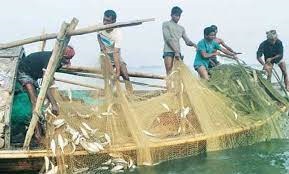 সাগরের মাছ ধরার কোটা নির্ধারণ করবে সরকার