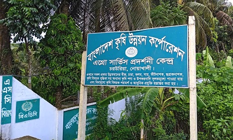 নোয়াখালীতে প্রদর্শনী কেন্দ্রে নারিকেল বীজ ক্রয়ে অনিয়মের অভিযোগ