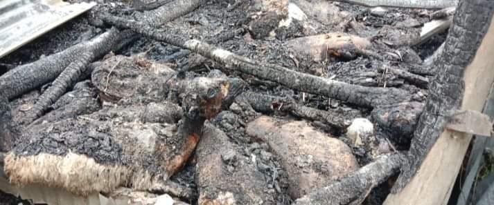 দুর্বৃত্তদের আগুনে পুড়ে গেল ৩২টি ভেড়া