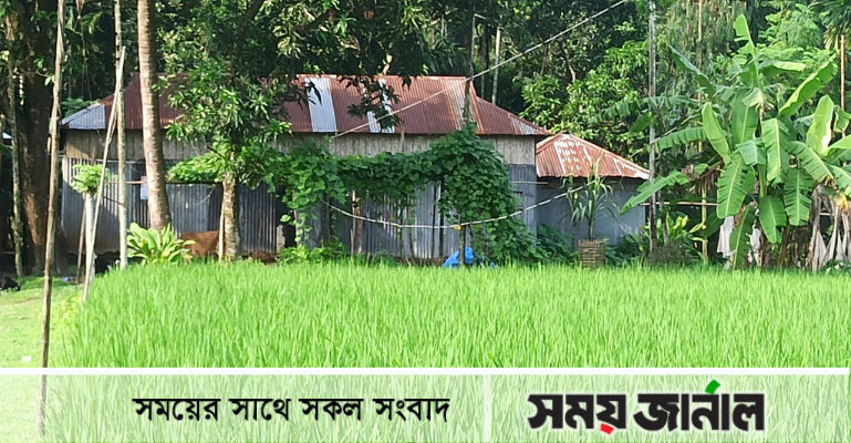 দাদন ব্যবসায়ীর চাপে ৬ বছরেও বাড়ি ফিরেনি ব্রোজেন